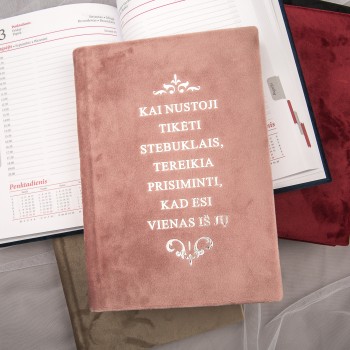 Darbo knyga 2027 veliūriniu viršeliu VIP22