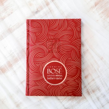 Darbo knyga BOSEI 2026, Nr. 43