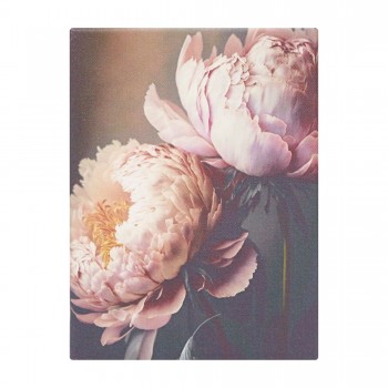 Paveikslas ant drobės "Bijūnai", 18x25 cm Paveikslas ant drobės "Bijūnai", 18x25 cm