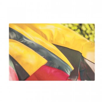 Paveikslas ant drobės "Lietuvos vėliava trispalvė", 30x20 cm Paveikslas ant drobės "Lietuvos vėliava trispalvė", 30x20 cm