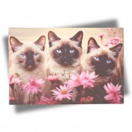 Paveikslas ant drobės "Trys kačiukai", 30x20 cm Paveikslas ant drobės "Trys kačiukai", 30x20 cm