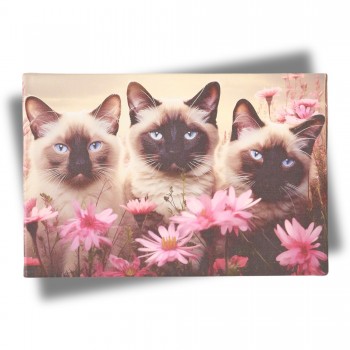 Paveikslas ant drobės "Trys kačiukai", 30x20 cm Paveikslas ant drobės "Trys kačiukai", 30x20 cm
