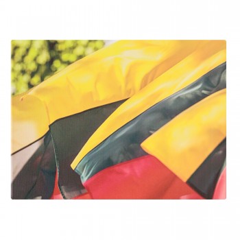 Paveikslas ant drobės "Lietuvos trispalvės", 40x30 cm Paveikslas ant drobės "Lietuvos trispalvės", 40x30 cm