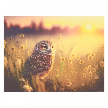 Paveikslas ant drobės "Apuokas pievoje", 40x30 cm Paveikslas ant drobės "Apuokas pievoje", 40x30 cm