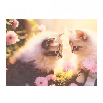 Paveikslas ant drobės "Du kačiukai", 40x30 cm Paveikslas ant drobės "Du kačiukai", 40x30 cm