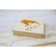 Vokelis su gintarais "LIETUVA"