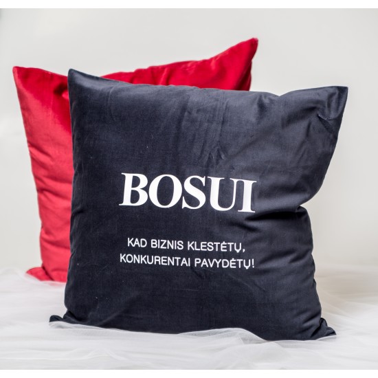 Pagalvė "BOSUI" , 50x50 cm