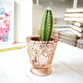 Žvakidė-mini vazonas