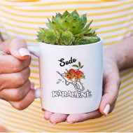 Puodelis su gėlėmis karutyje "Sodo karalienė" Puodelis su gėlėmis karutyje "Sodo karalienė"