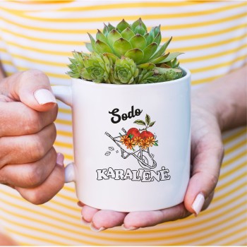 Puodelis su gėlėmis karutyje "Sodo karalienė"