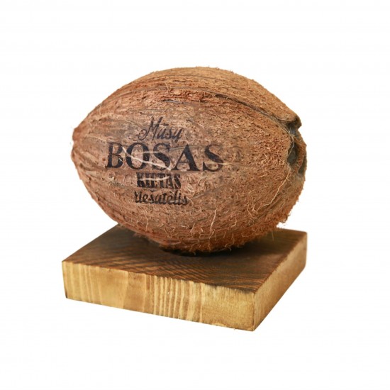 Graviruotas kokoso riešutas BOSUI
