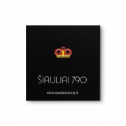 Metalinis Pin Ženklelis, Kunigaikštiška kepurė, Šiauliai 790