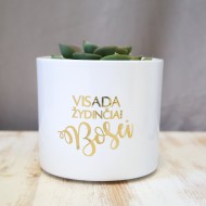 Vazonas gėlėms Bosei, Baltas, Keramika