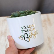 Vazonas gėlėms Bosei, Baltas, Keramika