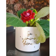 Vazonas gėlėms "Su gimimo diena" 