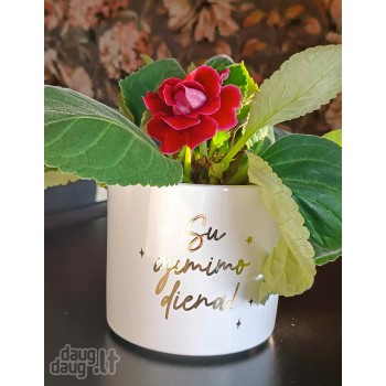 Vazonas gėlėms "Su gimimo diena" 