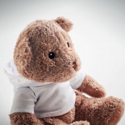 Didelis meškiukas su vardu, 250 mm 