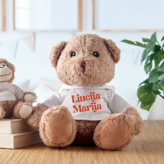 Didelis meškiukas su vardu, 250 mm 