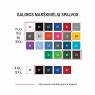 Marškinėliai su užrašu Auksinis Krikšto Tėtis, Spalvoti, Universalus modelis